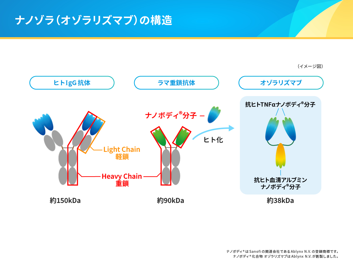 対話で解説 ナノゾラの特徴・臨床成績③ | 領域別情報 | 大正製薬医療